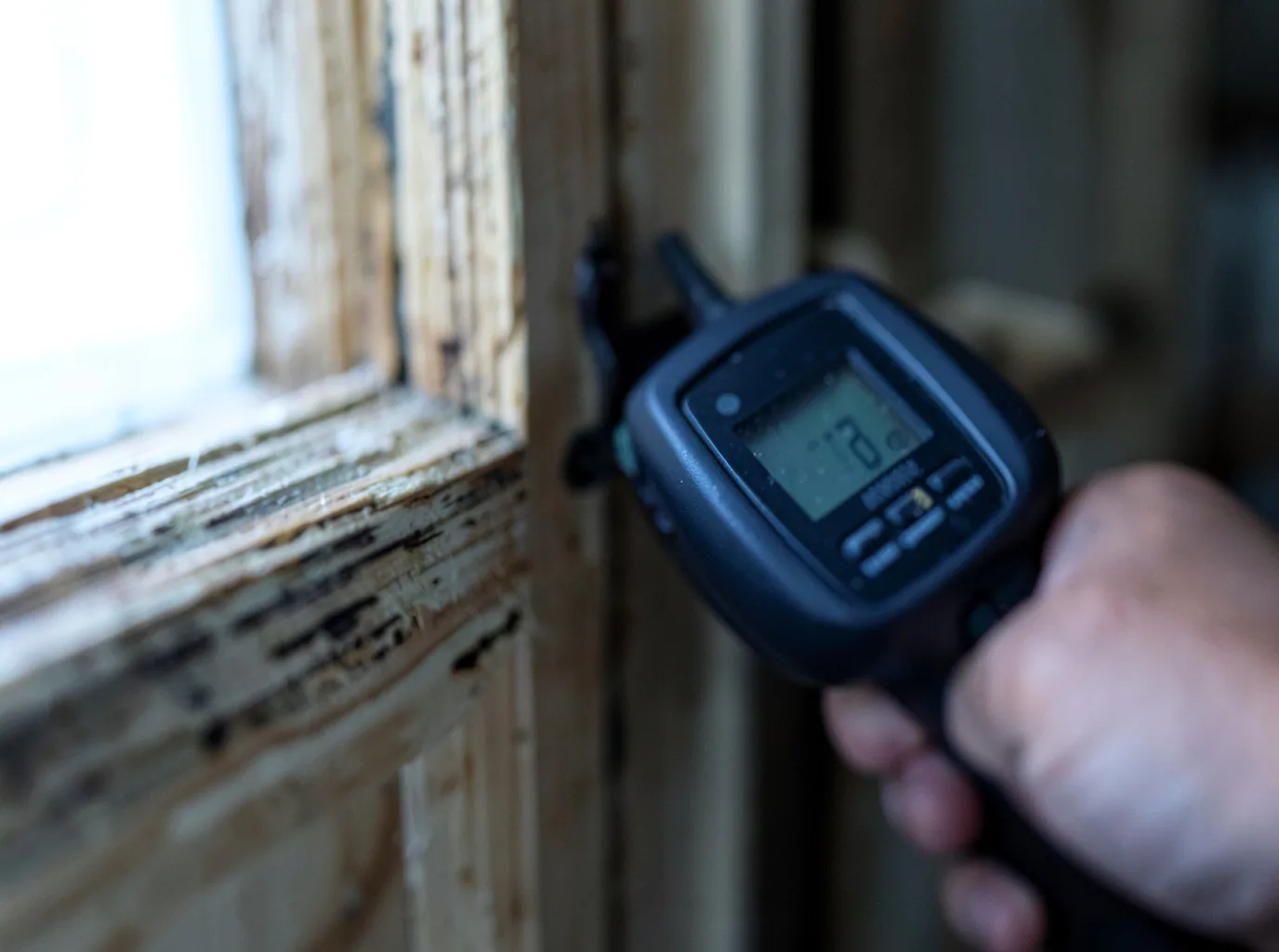 Moisture Inspection And Documentation in Millerton, IA